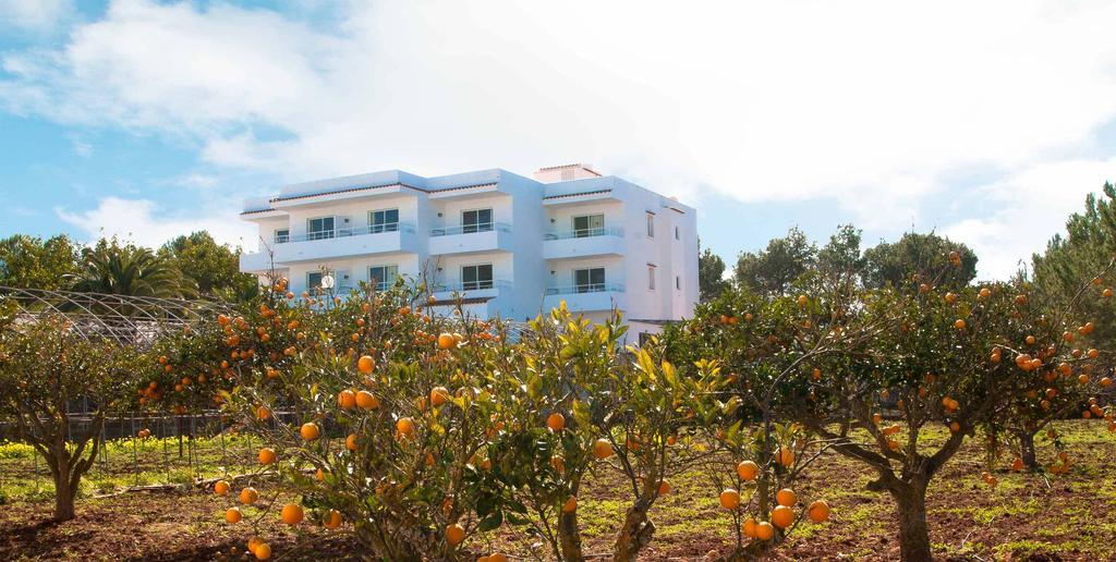 Sunset Oasis Ibiza Adults Only - New Rooms 2025 Сан-Антонио-Абад Экстерьер фото